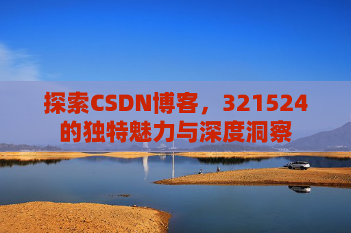 探索CSDN博客，321524的独特魅力与深度洞察